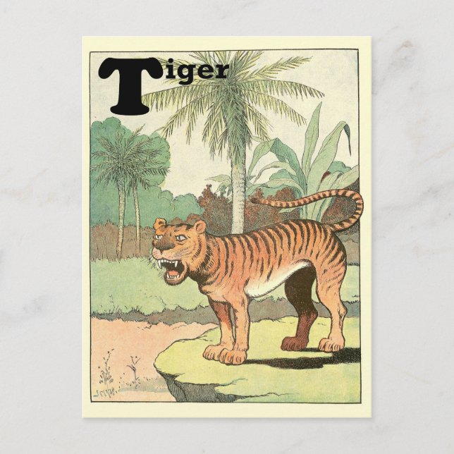 Postal Alfabeto de Animales del Tigre de la Jungla (Anverso)