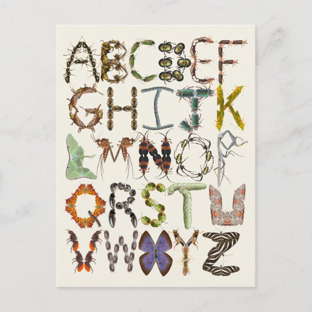 Postal Alfabeto de fallos - Arte de niños con temas de in (Anverso)