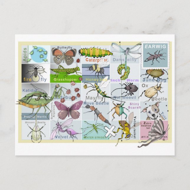 Postal Alfabeto de insectos (Anverso)