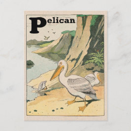 Postal Alfabeto pelicano