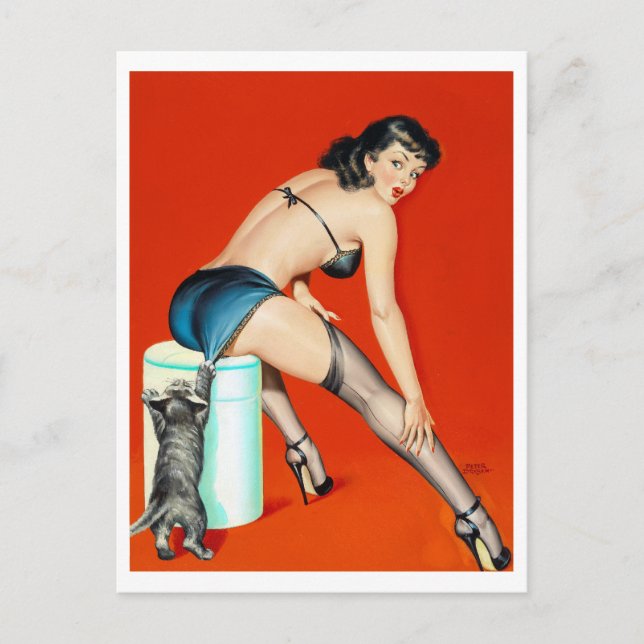 Postal Alfiler de pulpa de Kitty (Anverso)