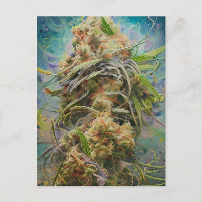 Postal Alga verde (Anverso)