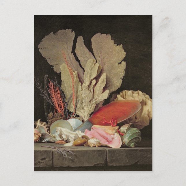 Postal Algas marinas, litófitos y conchas marinas (Anverso)