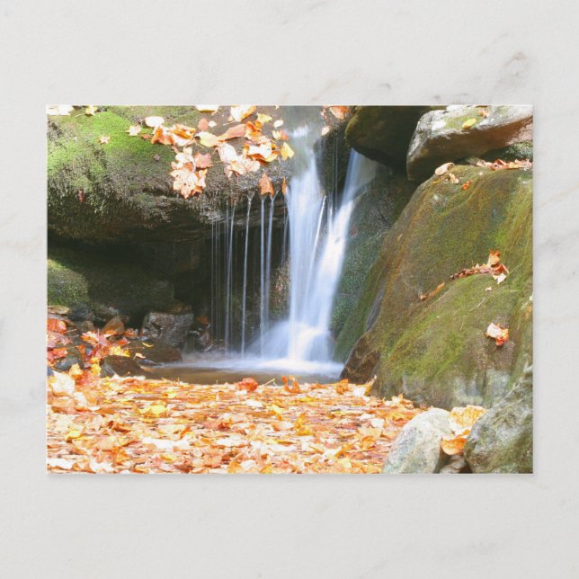 Postal Algo diferente (Anverso)