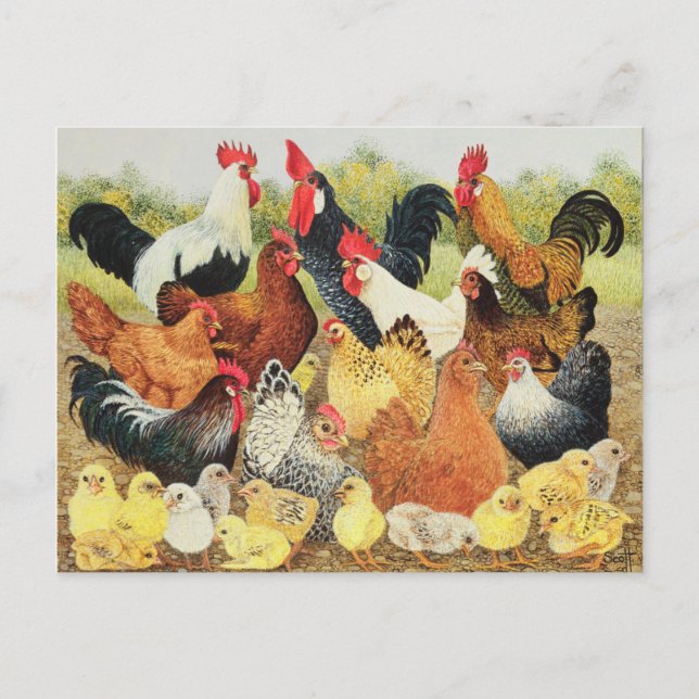 Postal Algo sobre lo que hay que hacer fila (Anverso)