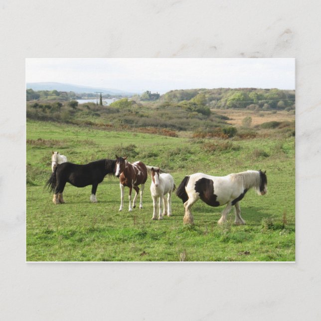 Postal Algunos caballos (Anverso)