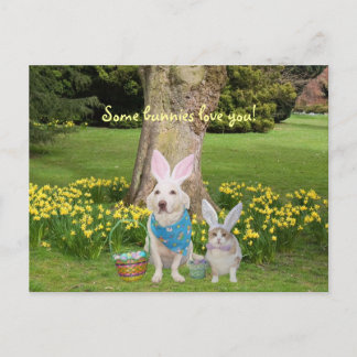 Postal ¡Algunos conejitos te aman!