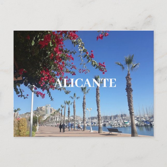 Postal Alicante Postcard (Anverso)