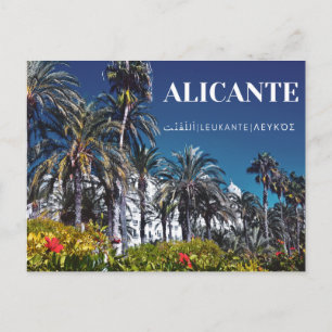 Postal Alicante Postcard