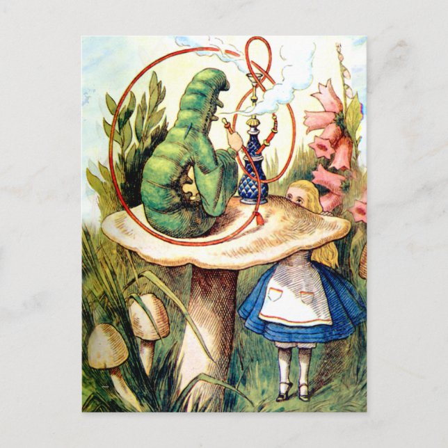 Postal Alice Busca Consejos De Una Olla (Anverso)