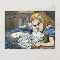 ALICE EN WONDERLAND