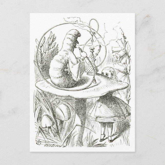 Postal Alice se reúne con el Ilustracion de cosecha de or (Anverso)