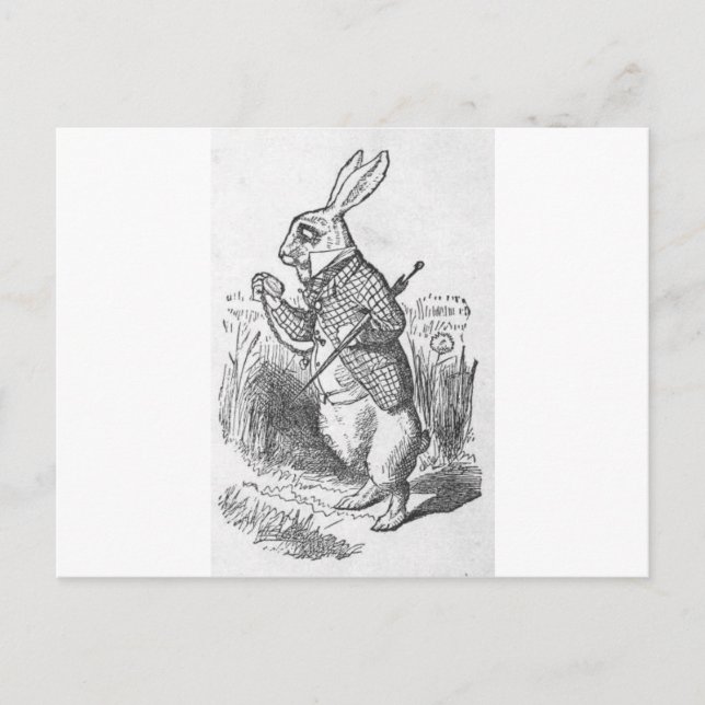 Postal Alicia en el país de las maravillas 2,5 (Anverso)