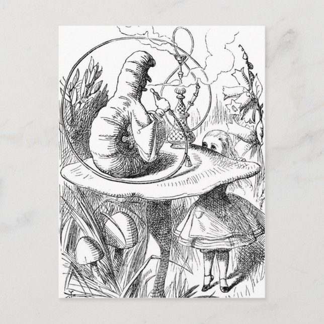 Postal Alicia mirando hacia arriba en la oruga (Anverso)