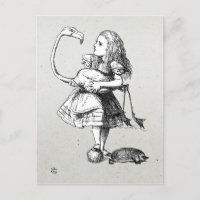 Alicia y el flamenco