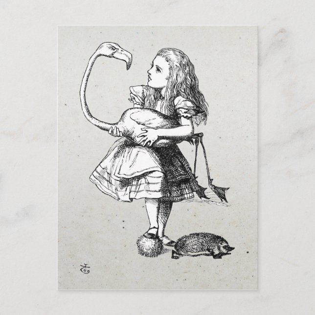 Postal Alicia y el flamenco (Anverso)