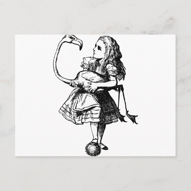 Postal Alicia y negro flamígico (Anverso)