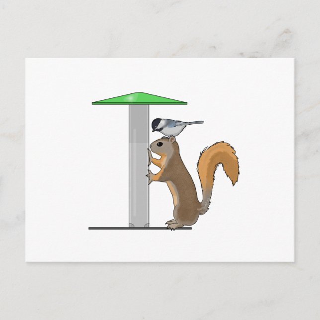 Postal Alimentador de pájaros vacío (Anverso)