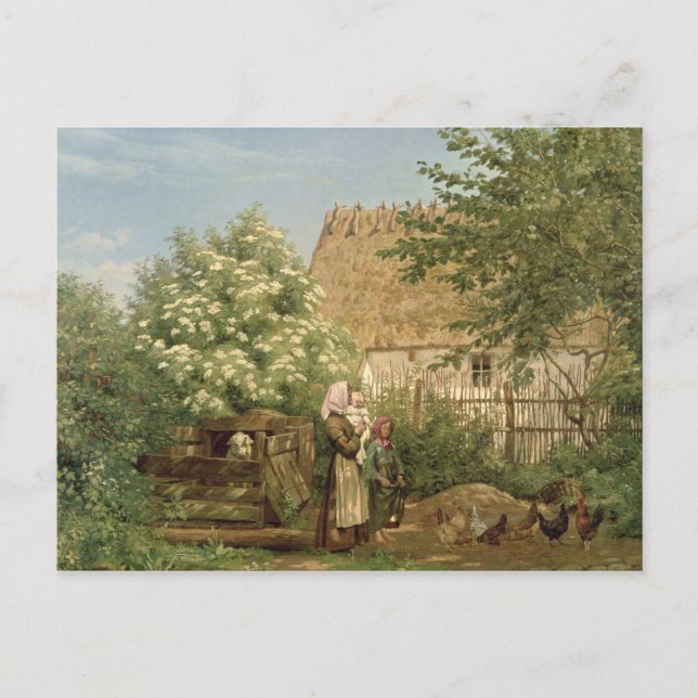 Postal Alimentando a los pollos (Anverso)