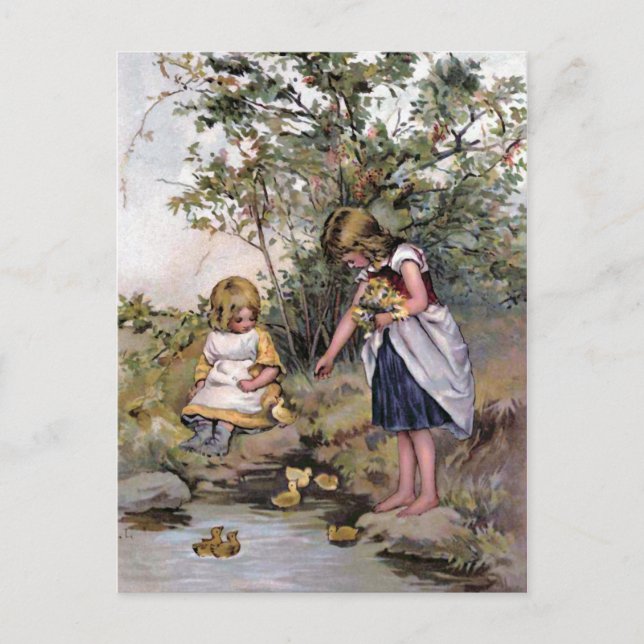 Postal Alimentando el Ilustracion de cosecha de pollos (Anverso)