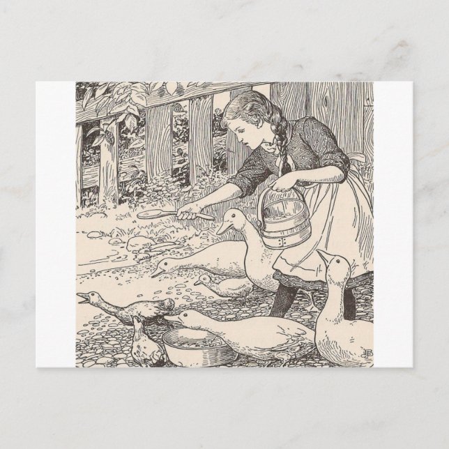 Postal Alimentar los patos (Anverso)