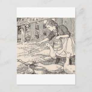 Postal Alimentar los patos