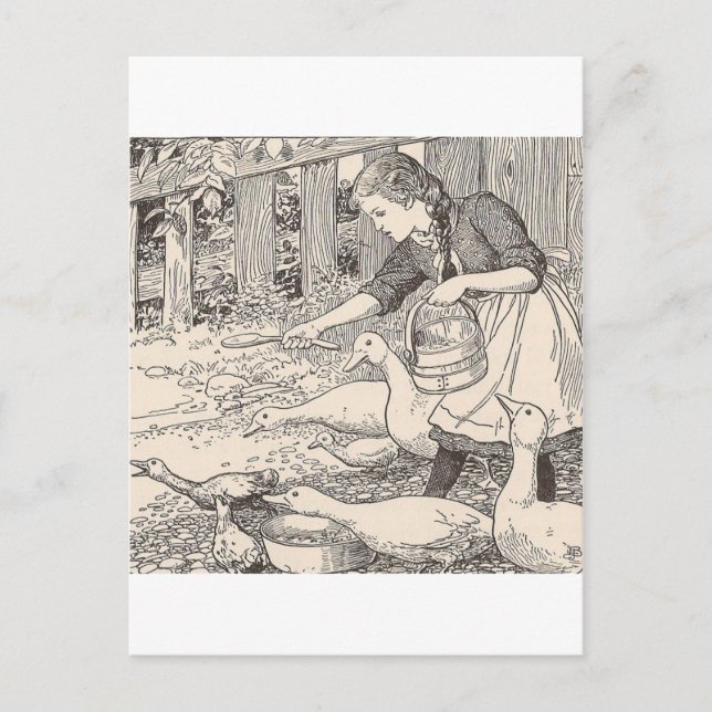 Postal Alimentar los patos (Anverso)