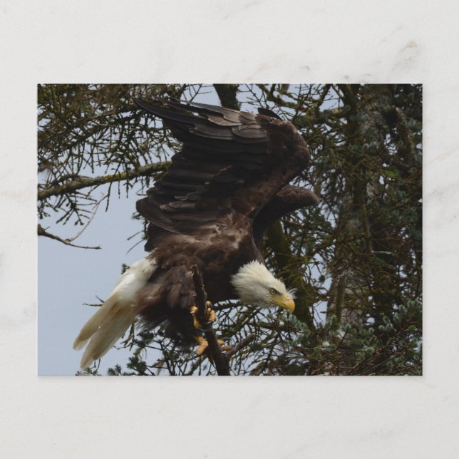 Postal Aliste para el vuelo (Anverso)