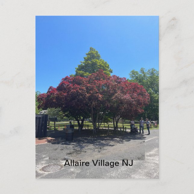 Postal Allaire Village NJ (Anverso)
