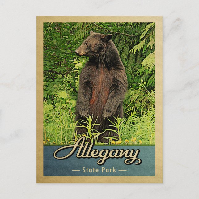 Postal Allegany State Park Vintage Bear (Anverso)