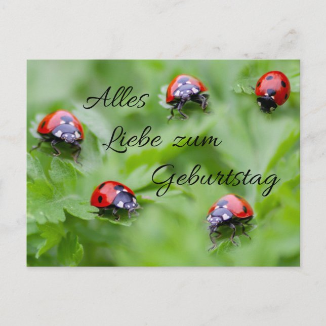 Postal ¡Alles Liebe zum Geburtstag! (Anverso)