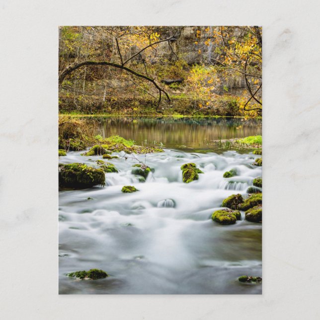 Postal Alley Springs Rapids (Anverso)