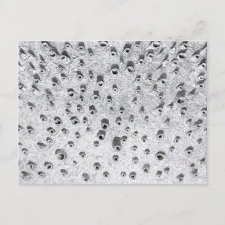 Postal allí, un mundo más seco