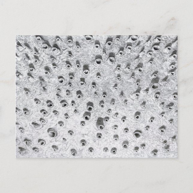 Postal allí, un mundo más seco (Anverso)