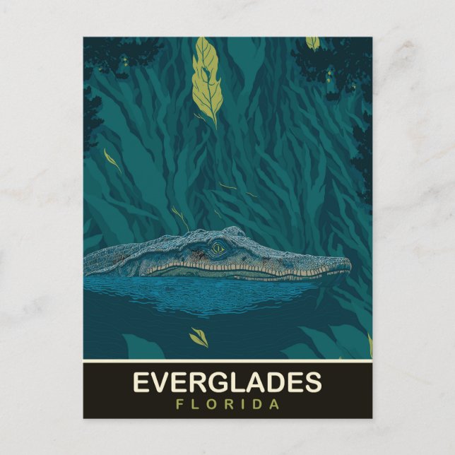 Postal Alligador en Everglades, Florida, Viajes (Anverso)