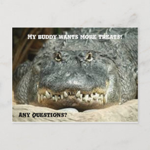 Postal Alligator Más Tratamientos Postcard