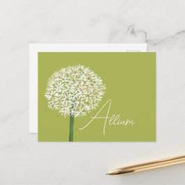 Postal  Allium Flower Botanical Art | Elegant Flora