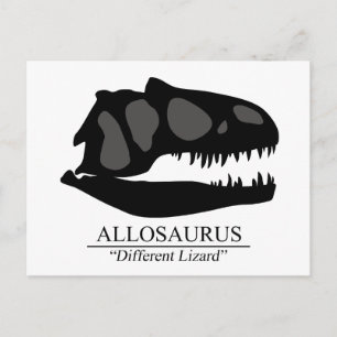 Postal Allosaurus Skull