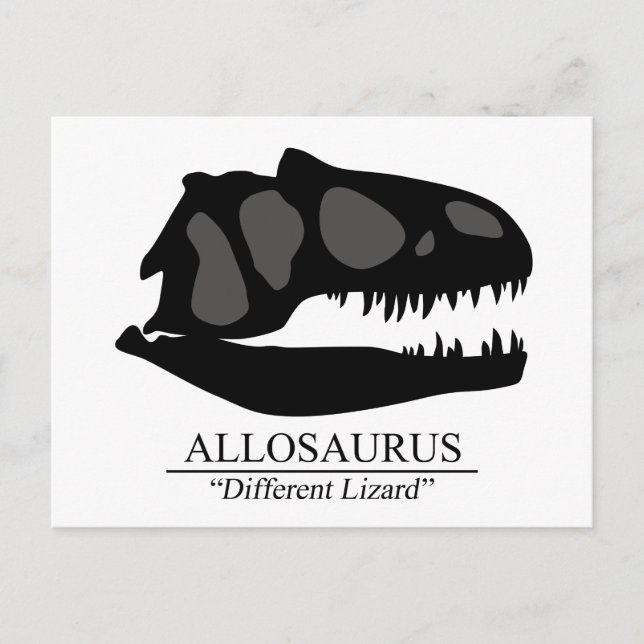 Postal Allosaurus Skull (Anverso)