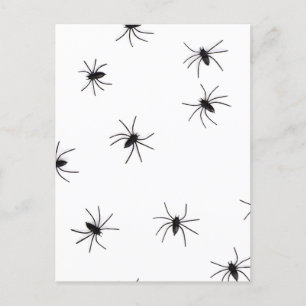 Postal Allover Spiders Halloween