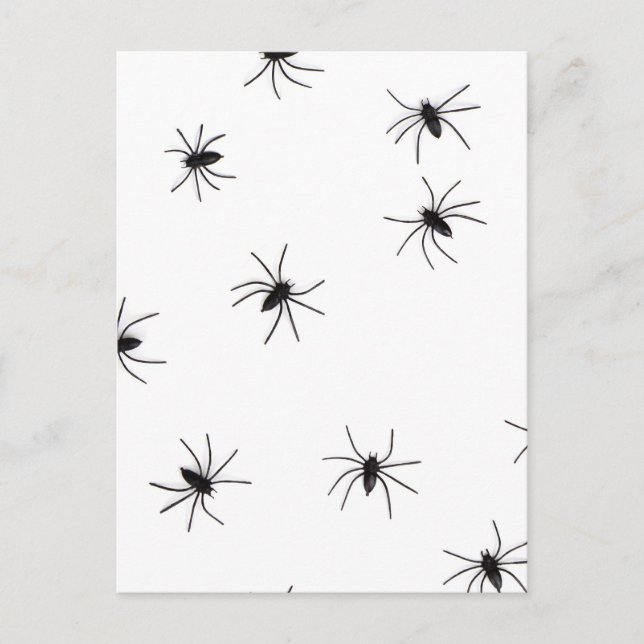 Postal Allover Spiders Halloween (Anverso)