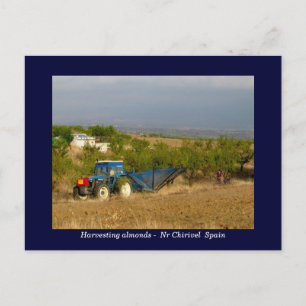 Postal Almendras de cosecha de tractores en España rural