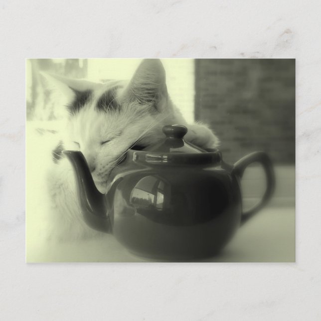 Postal Almohada de la tetera (Anverso)