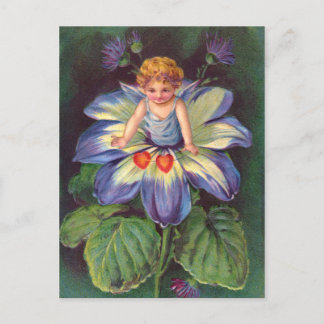 Postal Almohadilla: Flor Cherub Aster