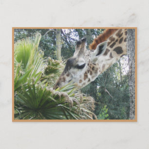 Postal ¡Almorcemos alguna vez!