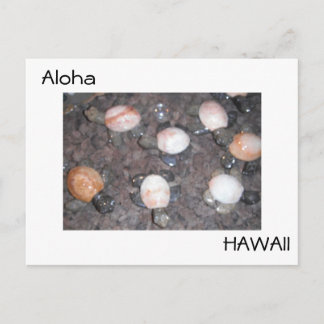 Postal Aloha