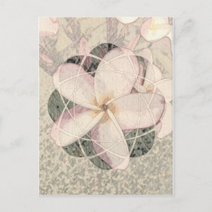 Postal Aloha Blossom