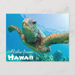 Postal Aloha de Hawaii Honu Turtle Verde
