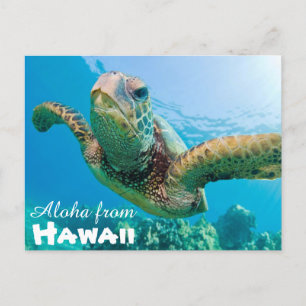 Postal Aloha de Hawaii Honu Turtle Verde Mar