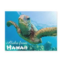 Aloha de Hawaii Honu Turtle Verde Mar